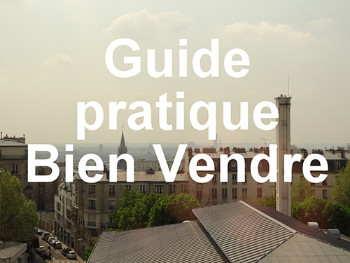 Guide Pratique Bien Vendre